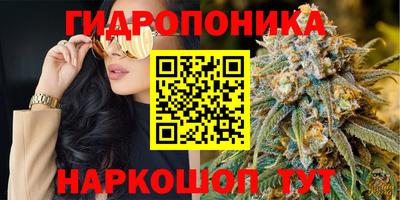 спиды Будённовск